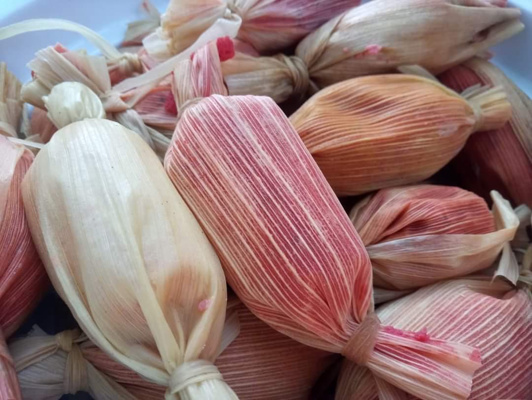 $!Rescatan el valor de la Pitaya en festival organizado en el Jardín Botánico de Culiacán