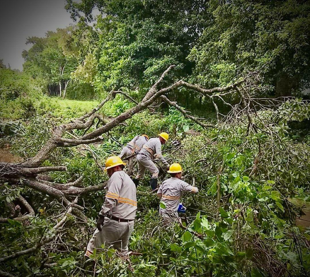 $!Lluvias en México han dejado 22 muertos y daños en varios estados