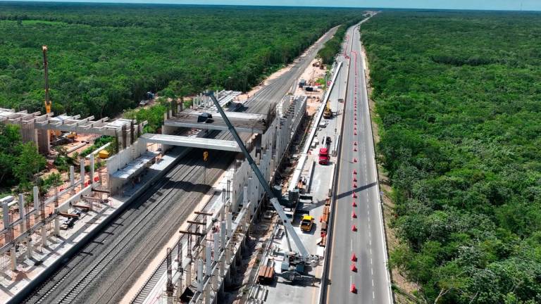 Reconoce Gobierno de AMLO que taló más de 7 millones de árboles para el Tren Maya