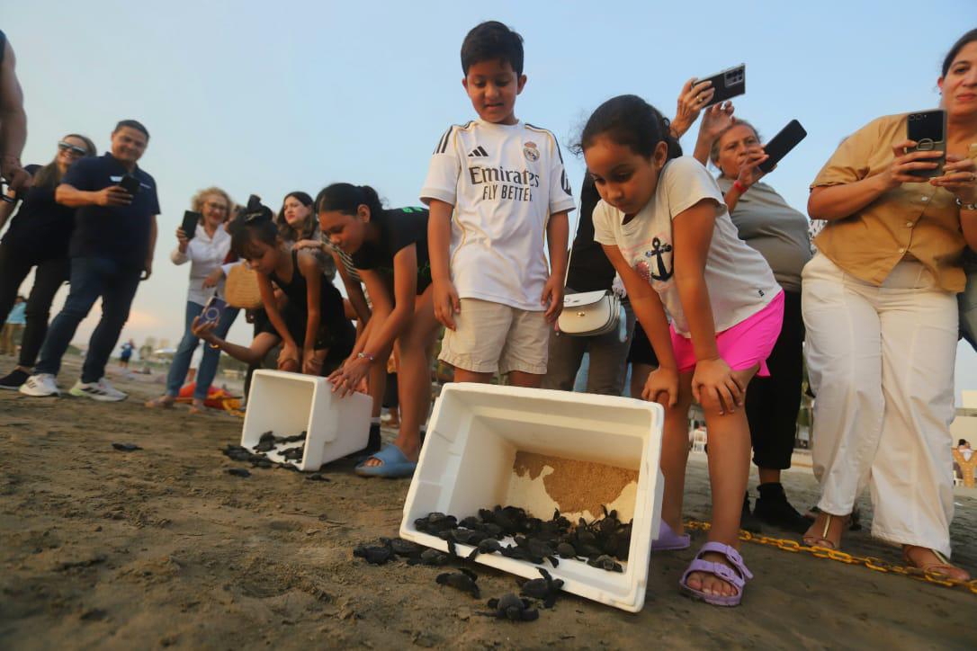 $!La liberación de tortugas se fusiona con el atardecer en Mazatlán