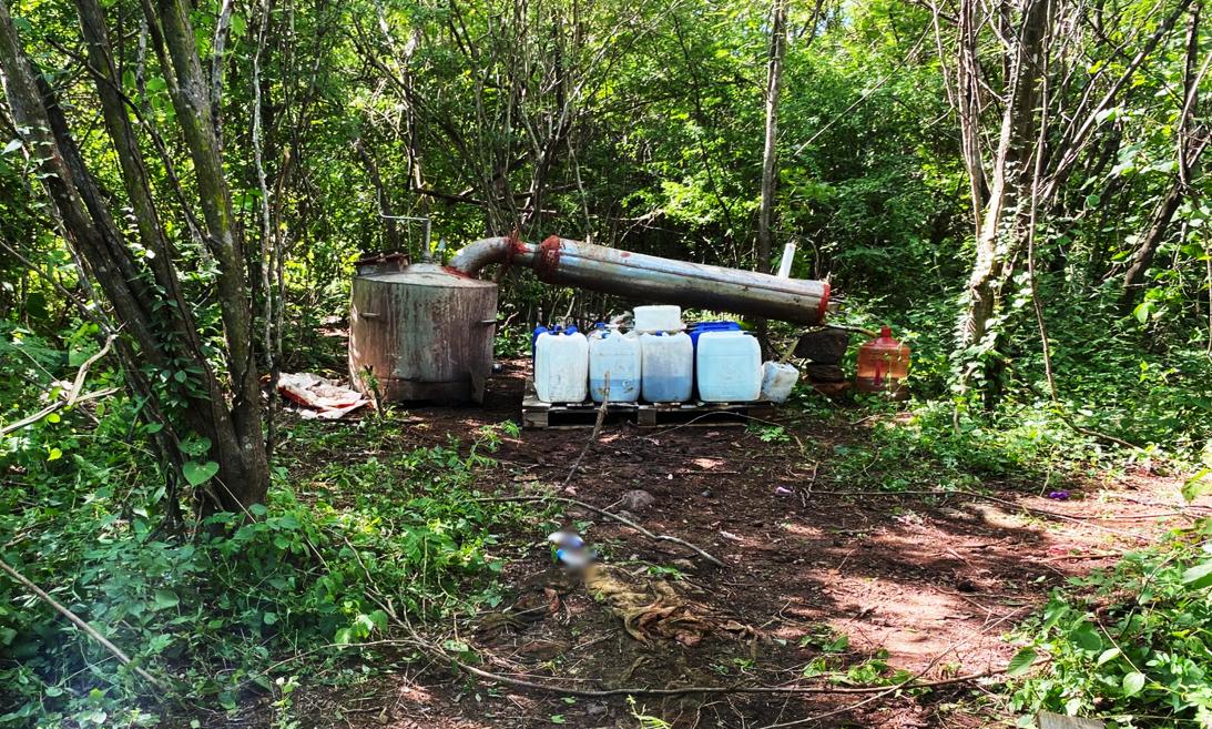 $!Ejército desmantela 13 centros de químicos en la sierra de Sinaloa