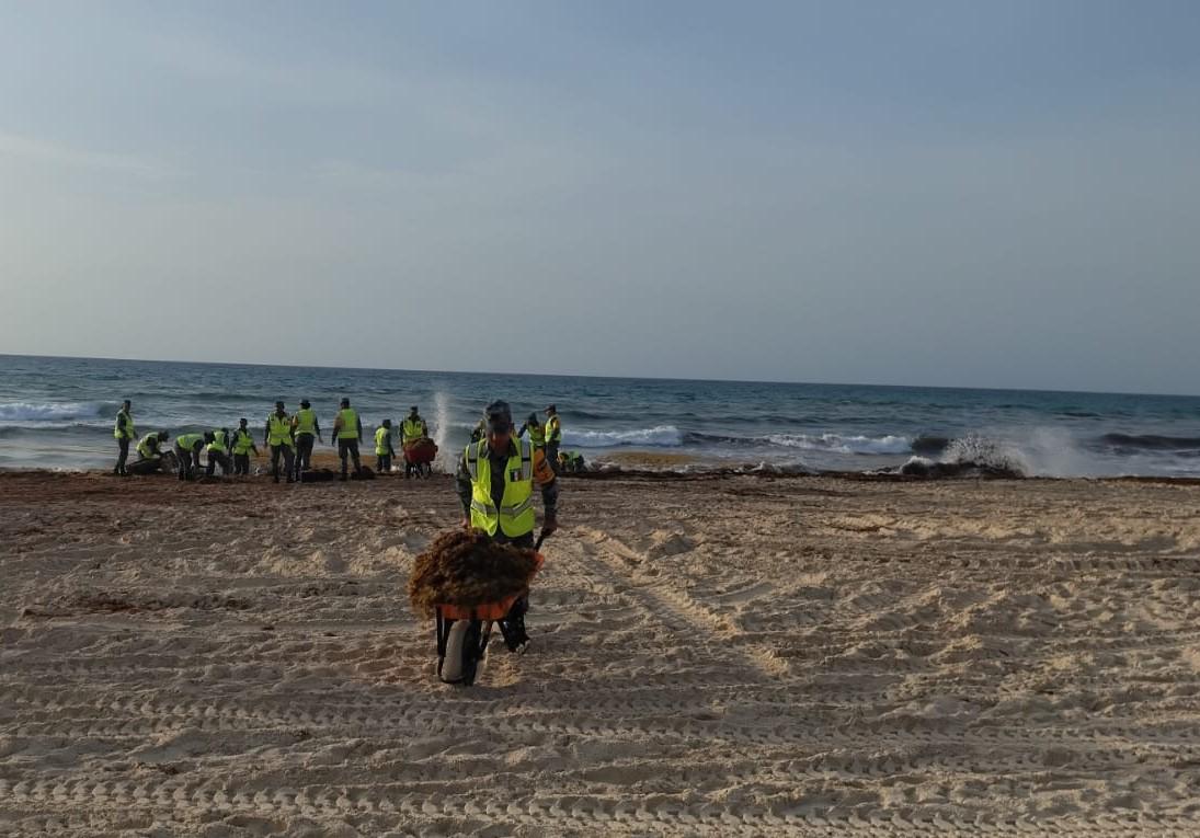 $!Luchan contra el sargazo en playas de Cancún