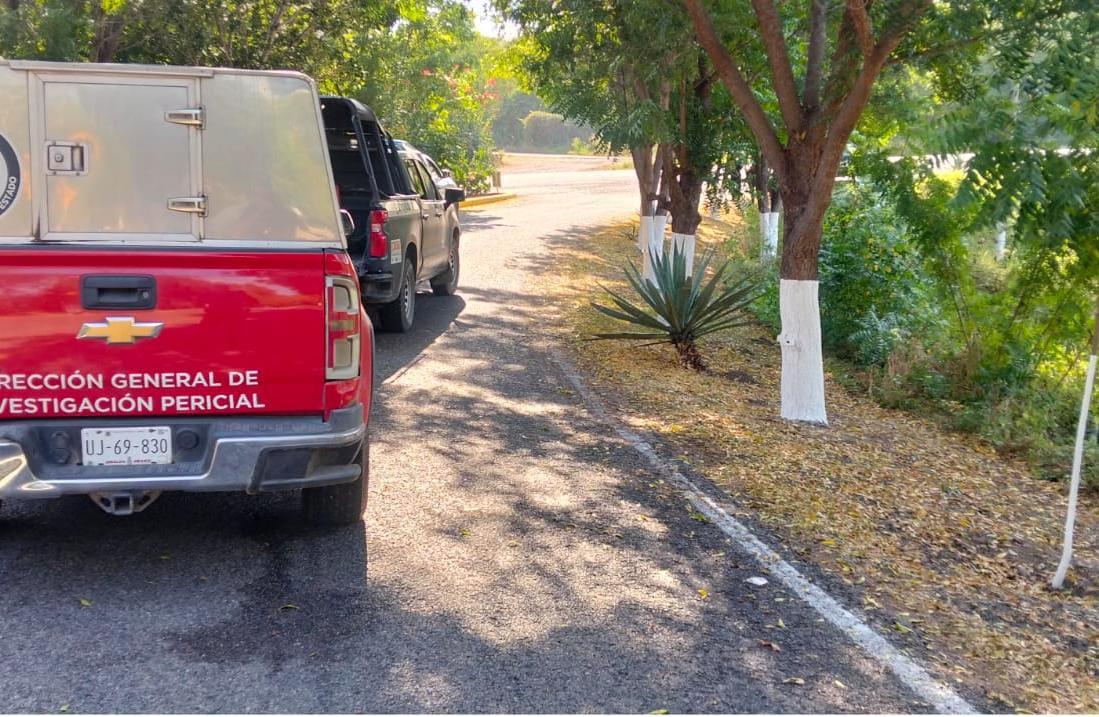 $!Localiza FGE cuatro cuerpos con heridas de bala en Ixpalino, San Ignacio