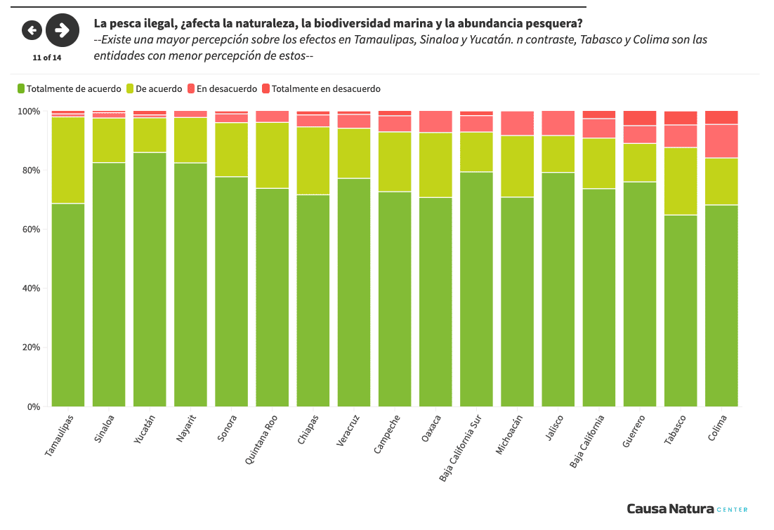 $!El 79% del sector pesquero considera que hay pesca ilegal en sus comunidades: CN Center