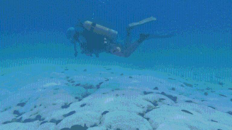 Buzo observando y evaluando la sobrevivencia de pólipos de los corales blanqueados en el Parque Nacional Huatulco.