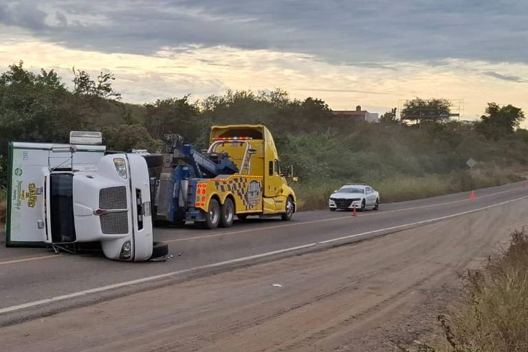 Torton vuelca en la carretera Mazatlán–Culiacán tras maniobra para evitar arrollar un burro