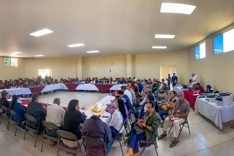 Plan de Justicia de la Sierra Tarahumara defiende derechos inalienables de los pueblos indígenas a sus tierras, bosques y agua