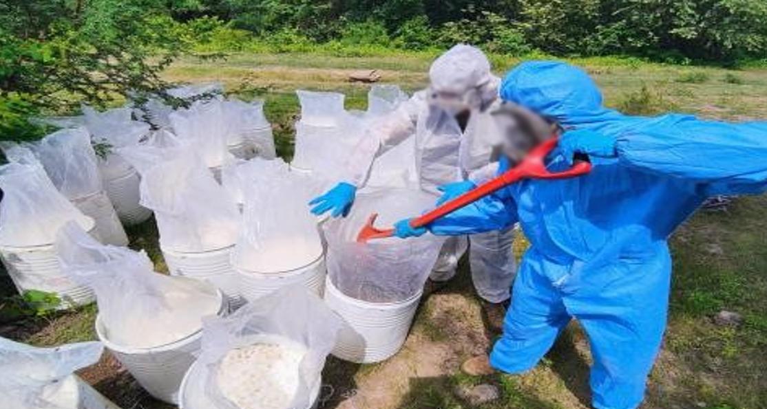 $!Fuerzas armadas decomisan armas, drogas y equipo táctico en operativos en Sinaloa