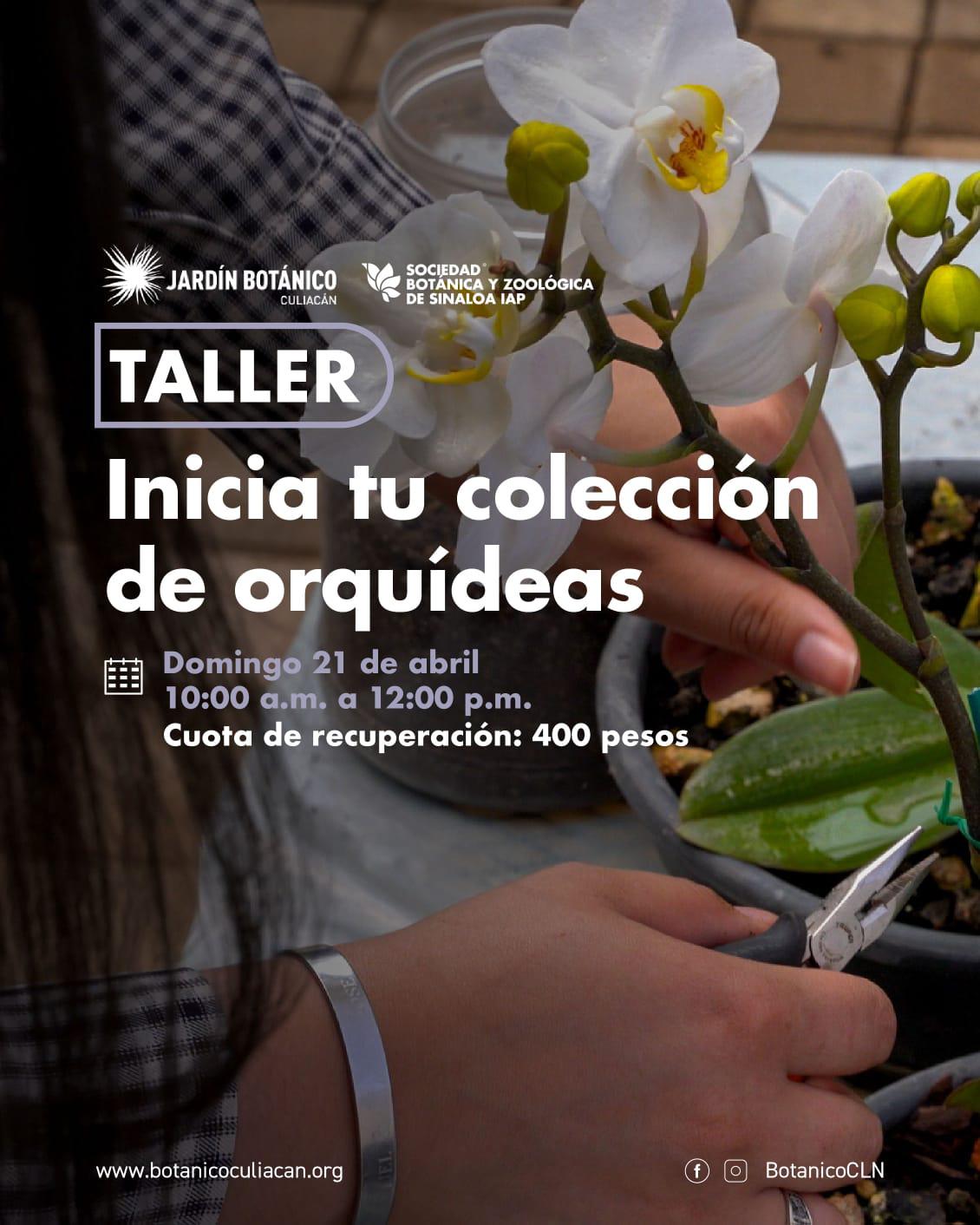 $!Habrá talleres y diversas actividades.
