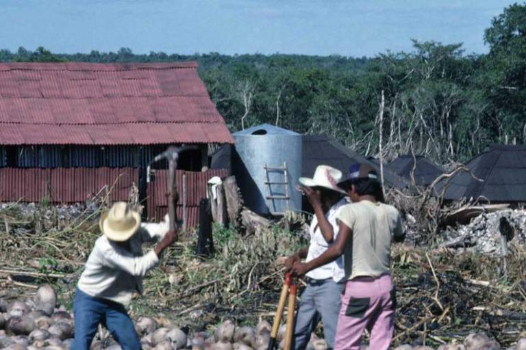 Anuncia OIM alianza para apoyar la integración laboral de migrantes en México