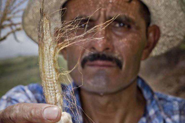 Arranca FAO plan para hacer frente a El Niño en América Latina