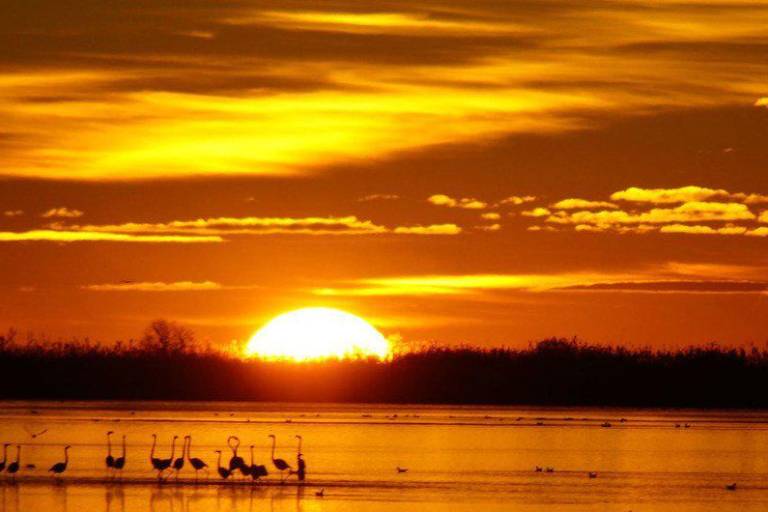 Europa es el continente que se calienta más rápido