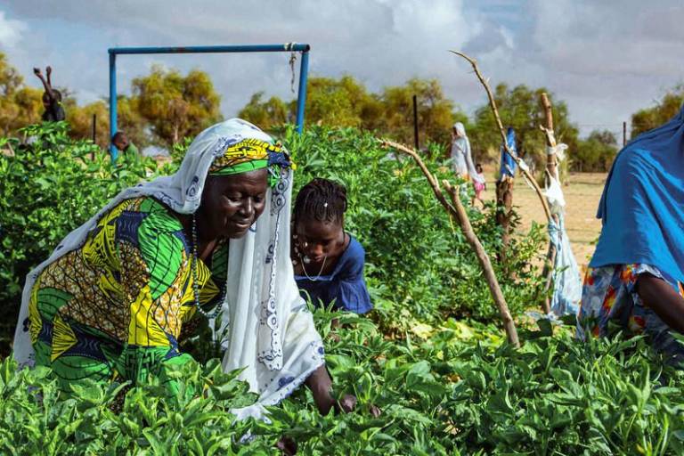 La misoginia y el sexismo se agudizan en el mundo, advierte experta