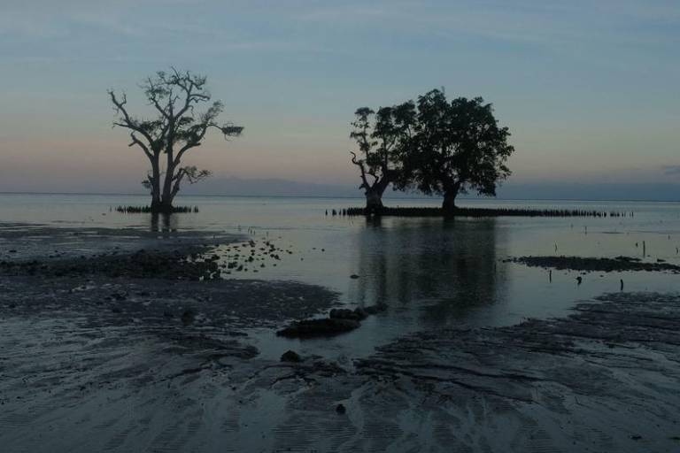 Se prevé que El Niño dé paso a La Niña este mismo año: Organización Meteorológica Mundial