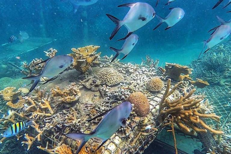 Advierte la UNESCO que el mar se calienta a una velocidad alarmante y constante