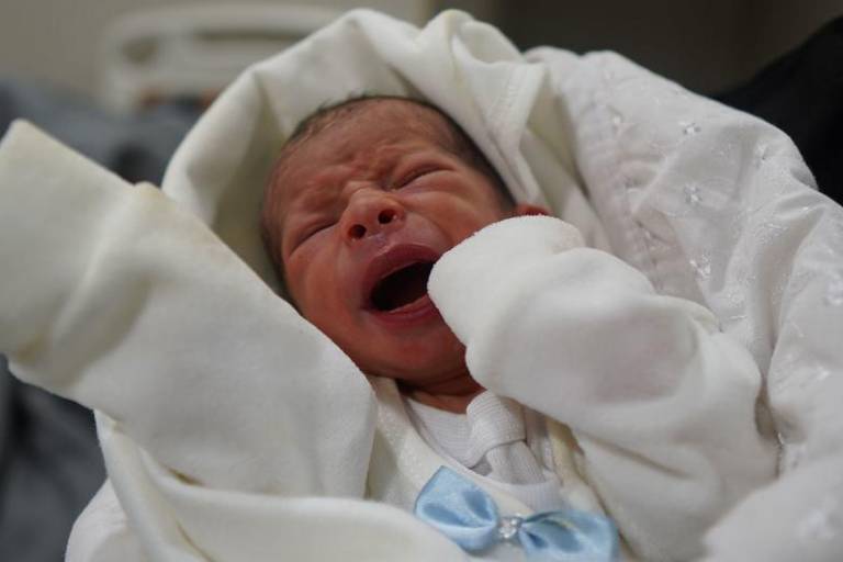 Mueren bebés en el hospital Al-Shifa en medio de escenas de devastación en Gaza