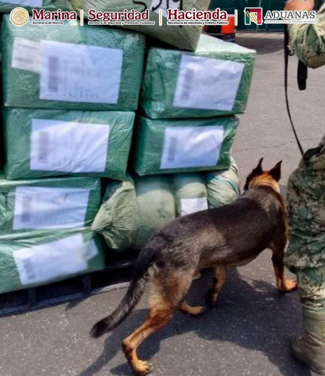 $!Decomisan más de 11 mil pares de calzado deportivo apócrifo en Manzanillo