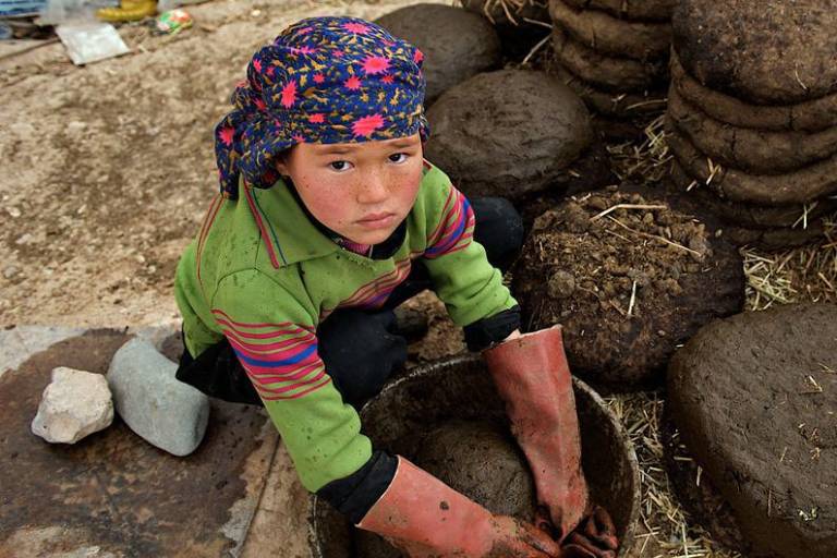 El mundo no ha alcanzado su objetivo de eliminar el trabajo infantil: 138 millones de niños aún trabajan