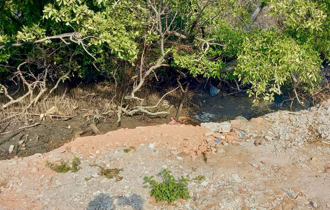 $!Localizan a más de 10 personas habitando de manera irregular en zonas de humedales