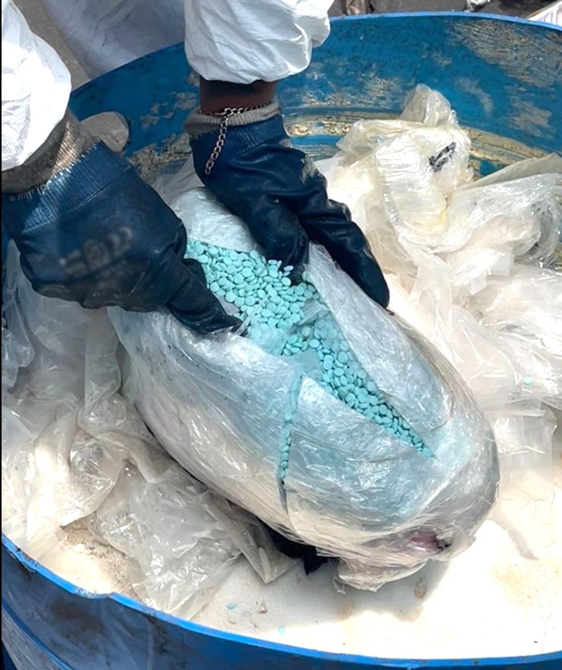 $!FGR destruye más de 290 mil pastillas de fentanilo y toneladas de químicos en Sinaloa