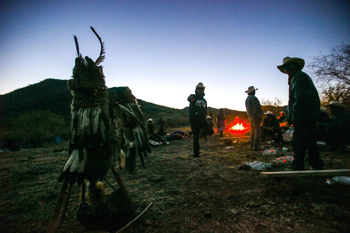$!Pueblo Yaqui recupera la Danza del Coyote, un símbolo de triunfo