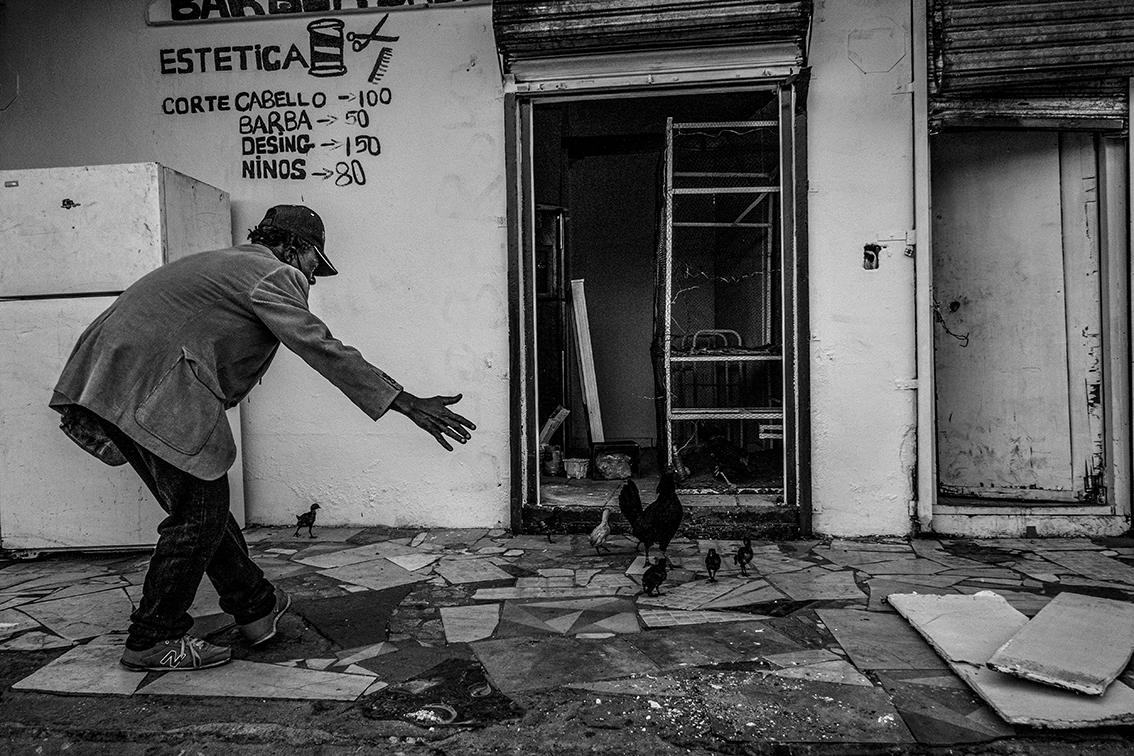 $!Un joven africano intenta atrapar unos polluelos, Tijuana, Baja California.
