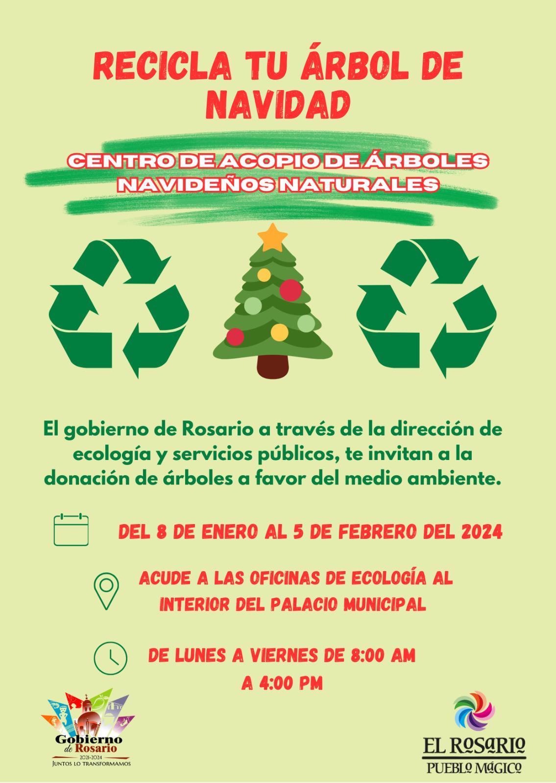 $!Activan centro de acopio de árboles navideños en Rosario