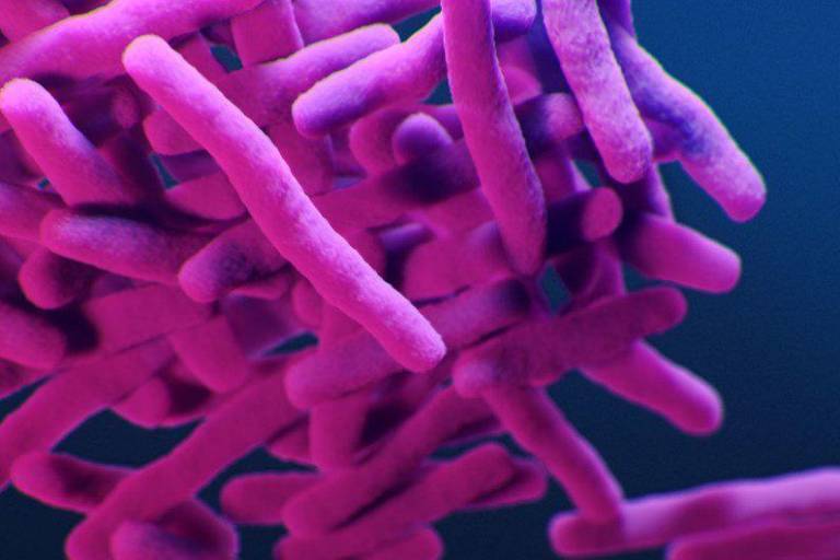 Uso excesivo de antibióticos ‘por si acaso’ durante pandemia agrava la resistencia bacteriana