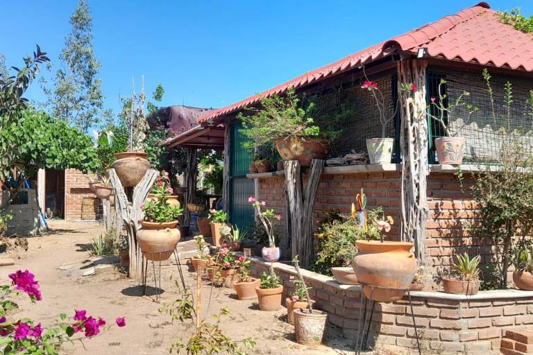 Invitan al Festival ecológico Arte de la Tierra