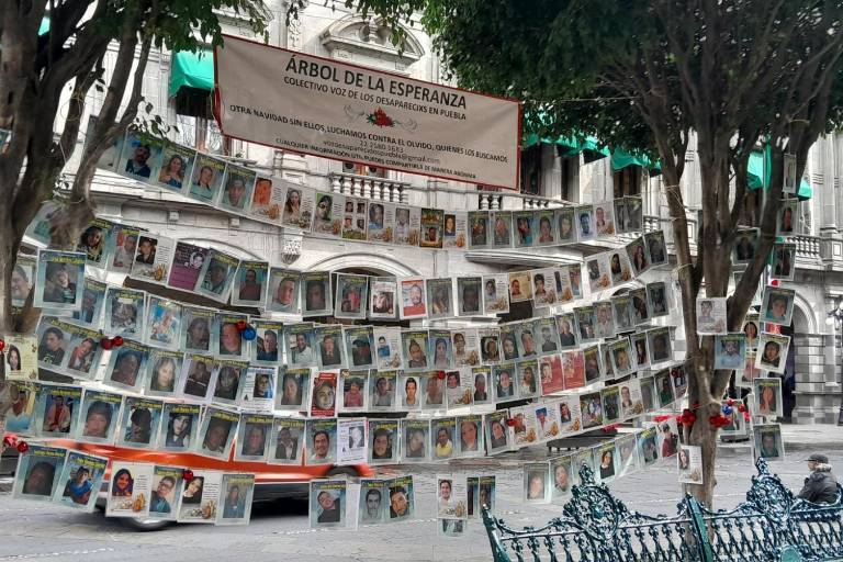 Gobierno de Sheinbaum prevé recortes para desaparecidos, refugiados y la protección de periodistas y mujeres