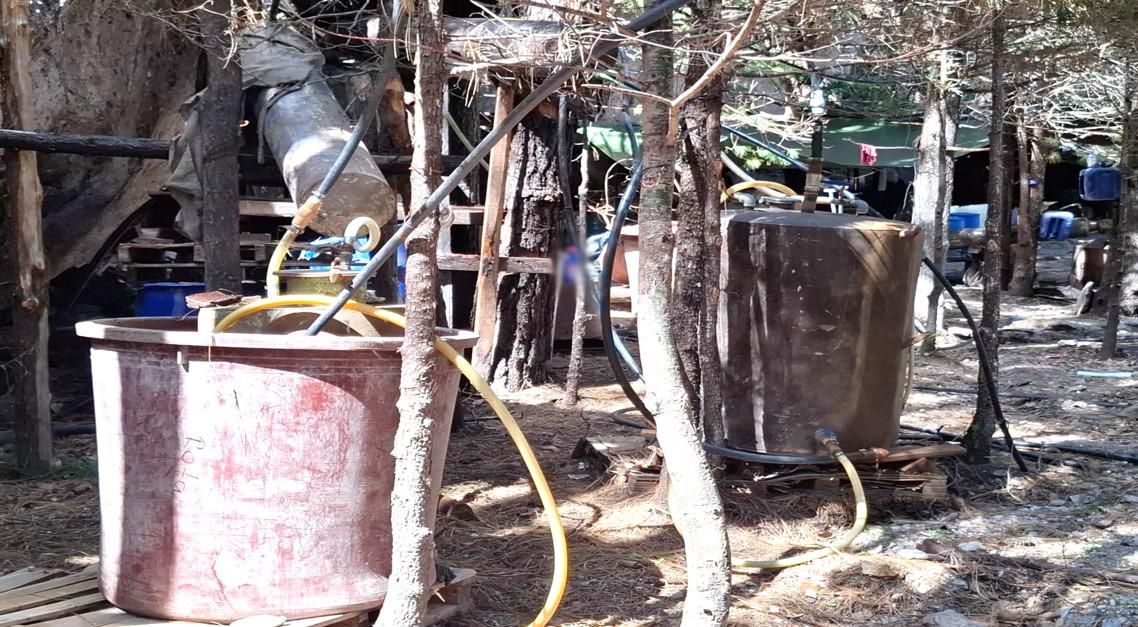 $!Pega Gobierno al narco: asegura precursores con que ganarían $11,623 millones en Badiraguato y Culiacán