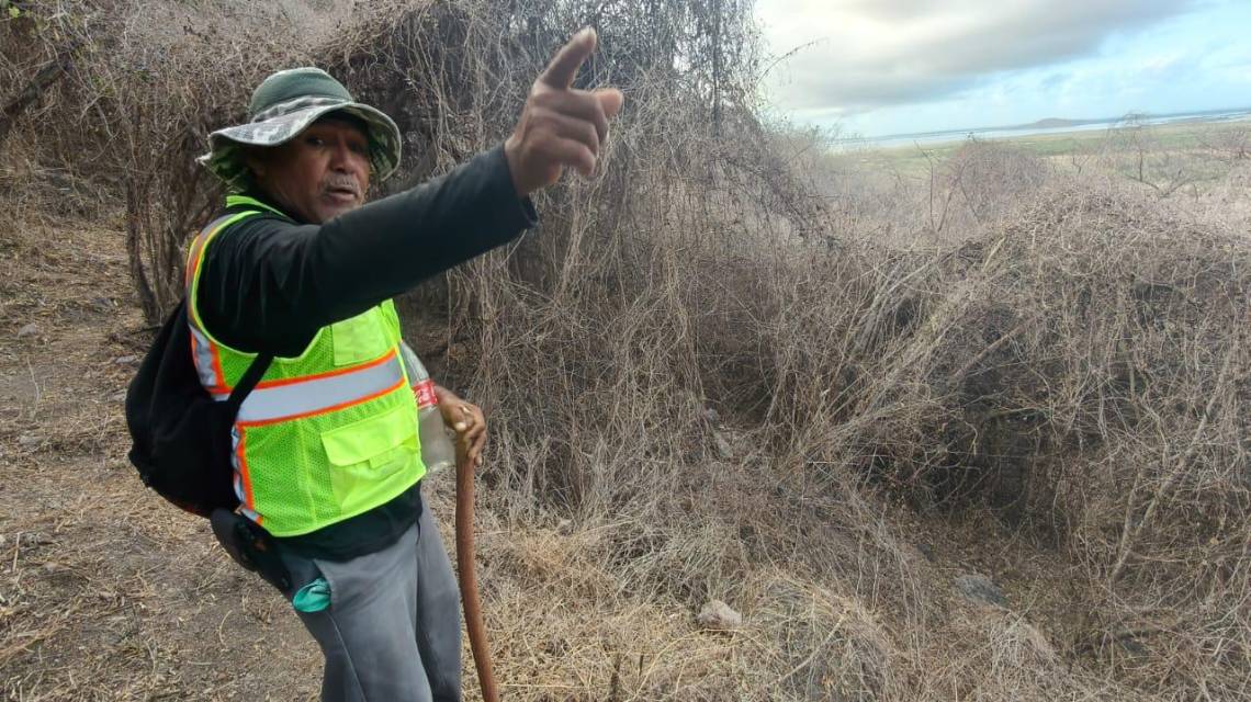Mauro impulsa el senderismo y el turismo de naturaleza.