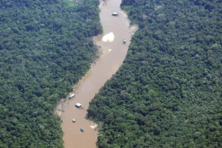 Disputa por la Amazonía: 17 grupos armados y redes criminales operan en el 69 % de la región