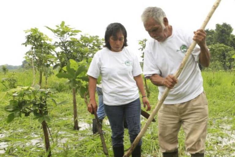 Humedales costeros de agua dulce: los aliados olvidados de México contra el cambio climático