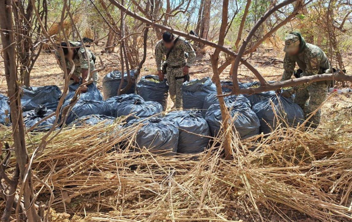 $!Fuerzas federales asestan golpes al crimen organizado en Sinaloa