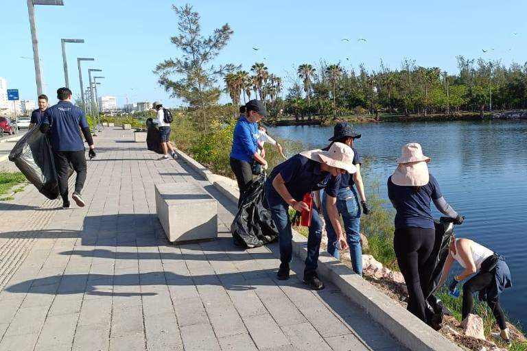 Realizan Gran Acuario Mazatlán y MazConCiencia limpieza en la Laguna El Camarón