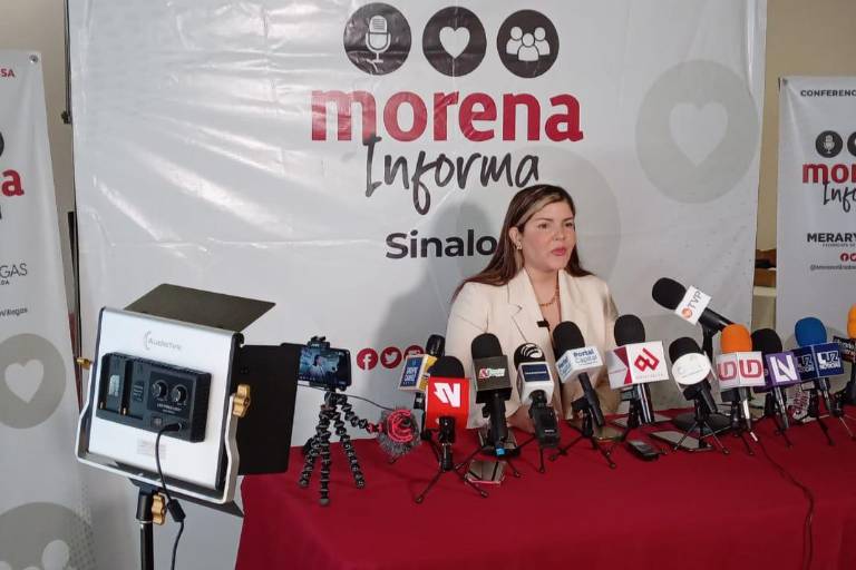 Sin denuncia formal, Morena no puede actuar contra Diputado Pedro Lobo por gastos irregulares