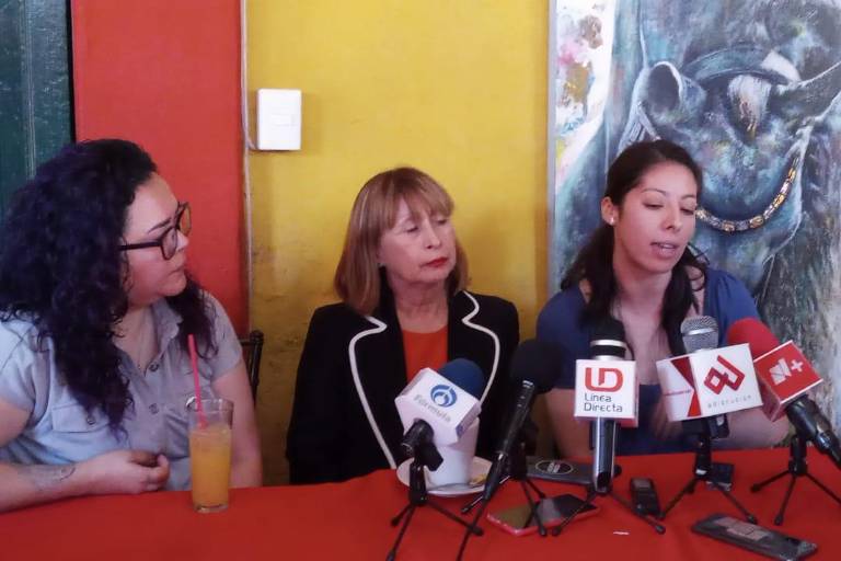 Denuncia madre que Ana Lucía fue traída por su padre a Sinaloa de manera ilegal