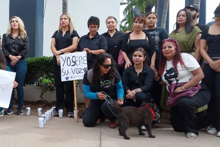 Defensores de animales en Culiacán exigen justicia por Bobby y piden endurecer penas por maltrato en Sinaloa
