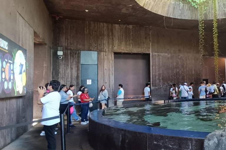 Mazatlán cuenta con el acuario más grande de Latinoamérica ¿qué lo hace único?