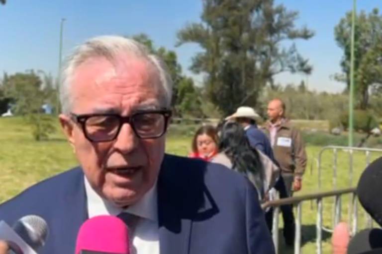 Estamos combatiendo a la delincuencia sin importar de qué grupo sean: Rocha Moya