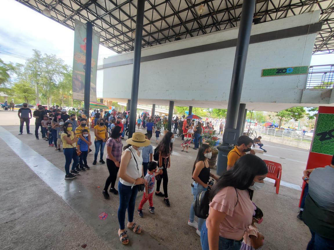 $!Público del Zoológico de Culiacán hace fila para ver a ‘Big Boy’
