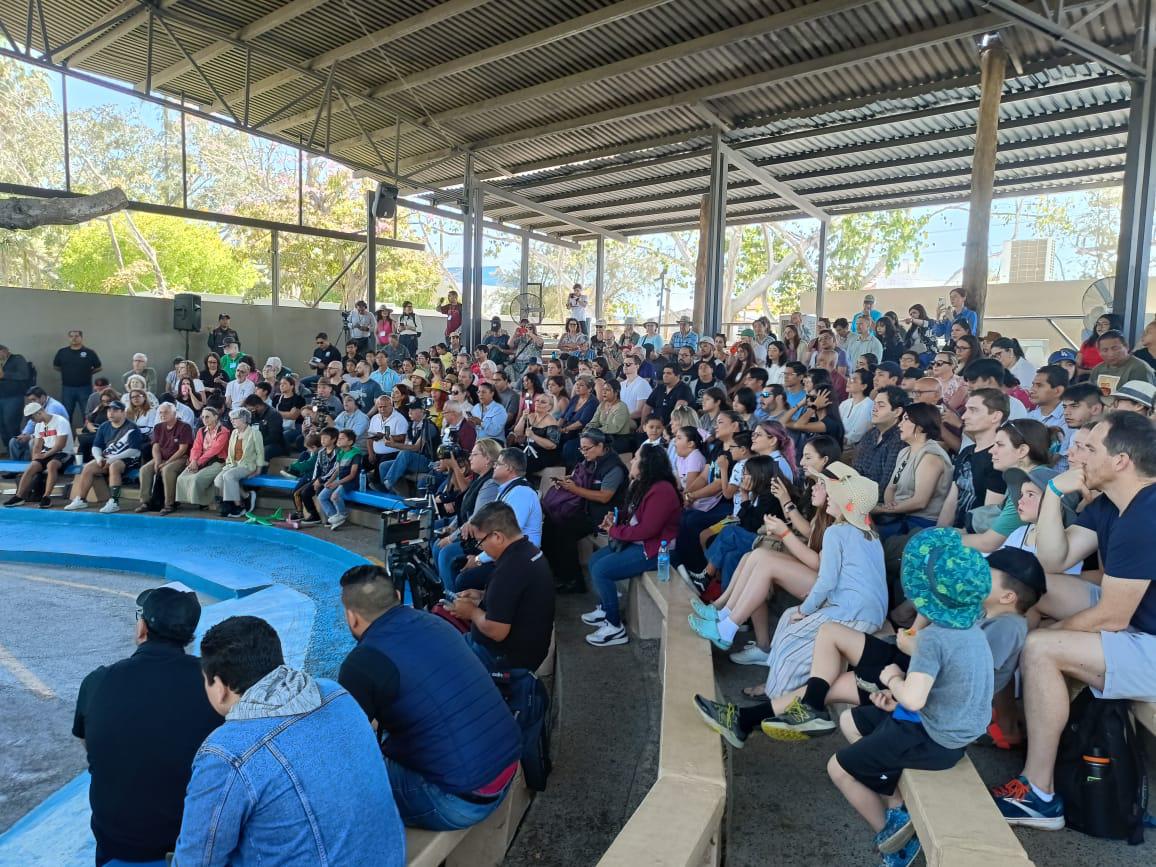 $!Abre Gran Acuario Mazatlán sus puertas a más de 7 mil exploradores para el Eclipse Total de Sol