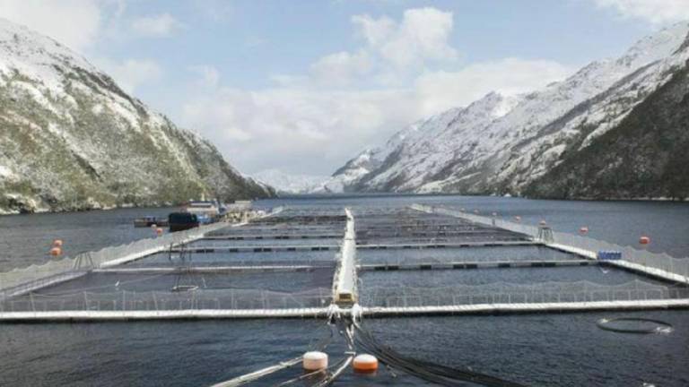 Imagen referencial centro de cultivo de Nova Austral.