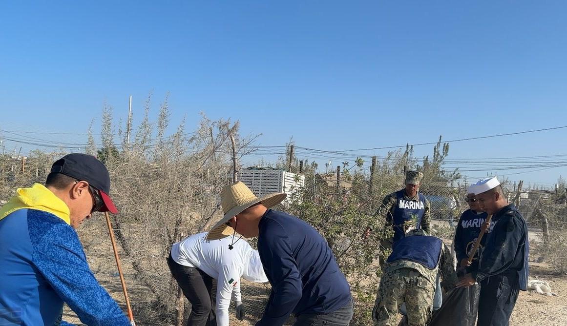 $!Personal naval realiza labores de limpieza en Cabo San Lucas, Baja California Sur
