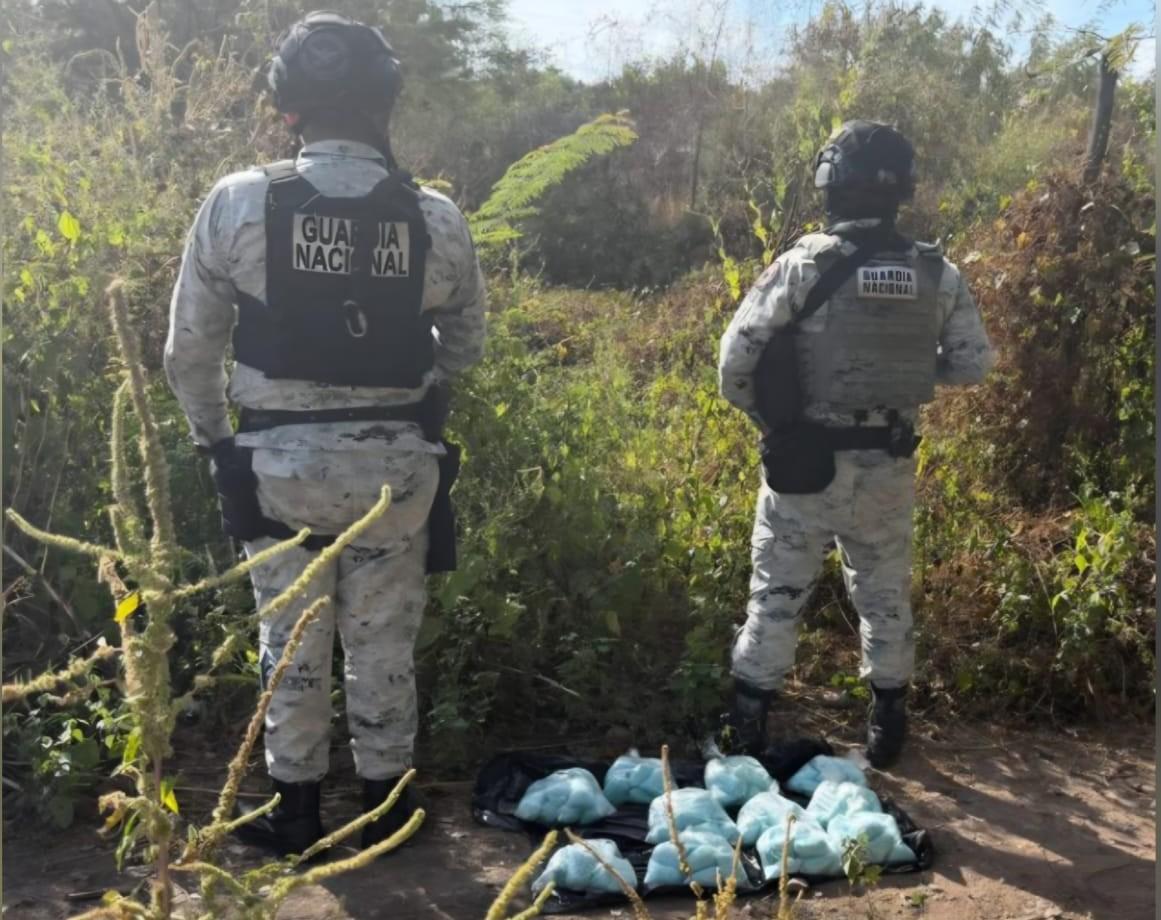 $!Aseguran 11 kilos de presunto fentanilo en la colonia Bicentenario, en Culiacán