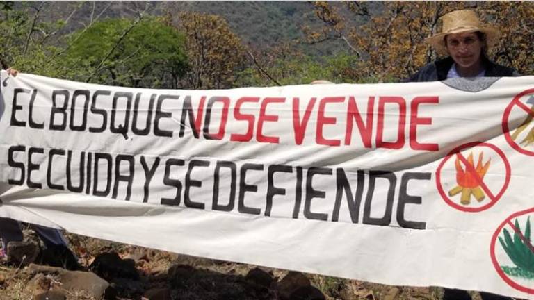 Mujeres defensoras del bosque de Juanacatlán.