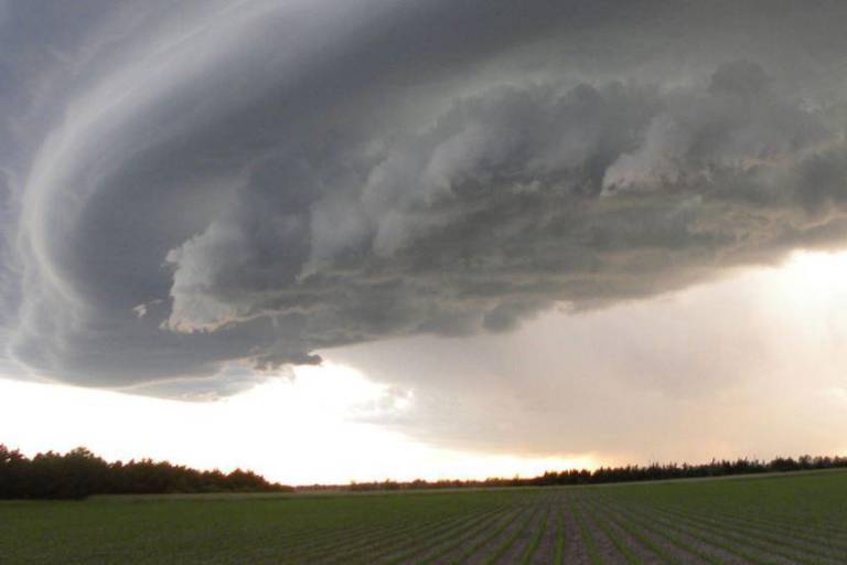 El mundo necesita un planeta verde, pero está en alerta roja: ONU
