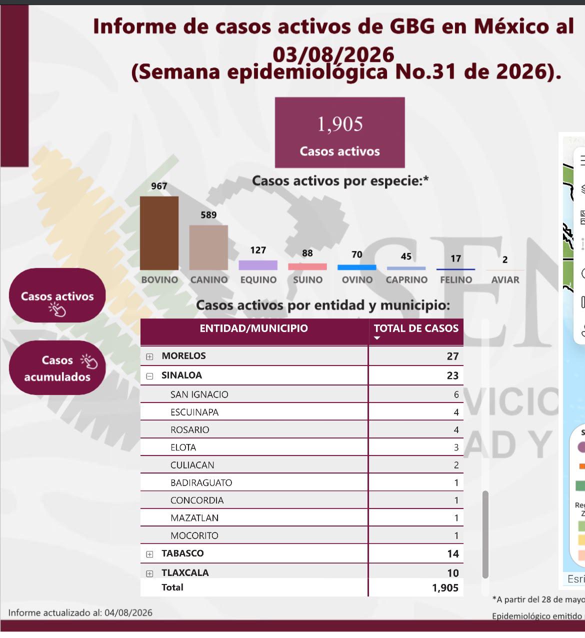 $!Secretario de Agricultura niega casos activos de gusano barrenador en Sinaloa, pero reporte federal registra 23