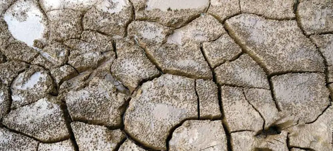 $!En el Corredor Seco de Centroamérica, la sequía y las lluvias irregulares están afectando gravemente a la agricultura de subsistencia.